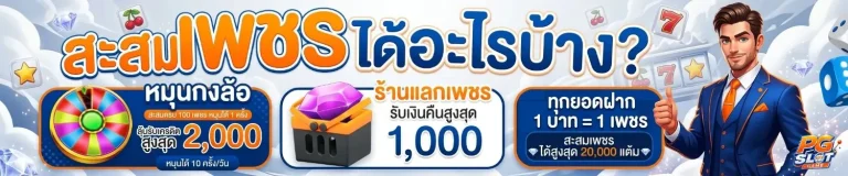 pg ฝาก ถอน wallet